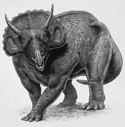 An artist's impression of Nedoceratops