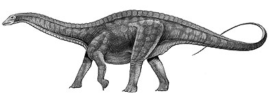 An artist's impression of Dicraeosaurus