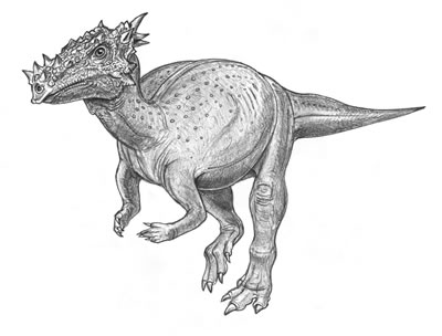 An artist's impression of Dracorex
