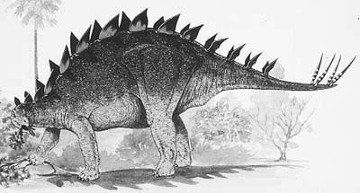 Dravidosaurus