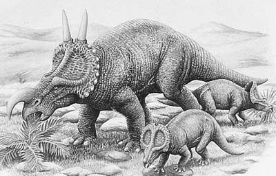 An artist's impression of Einiosaurus