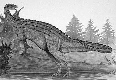 An artist's impression of Emausaurus