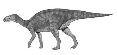 An artist's impression of Equijubus