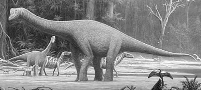 An artist's impression of Europasaurus