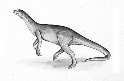 Euskelosaurus