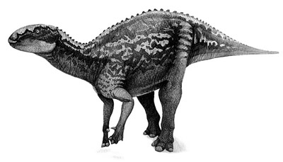 An artist's impression of Fukuisaurus