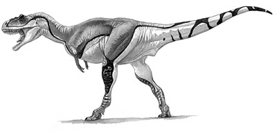 An artist's impression of Gorgosaurus