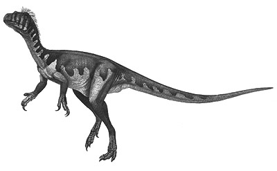 An artist's impression of Guaibasaurus