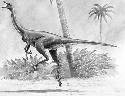 An artist's impression of Harpymimus