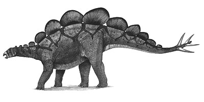 An artist's impression of Hesperosaurus