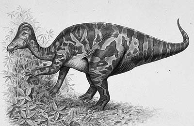 An artist's impression of Hypacrosaurus