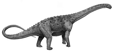 An artist's impression of Janenschia