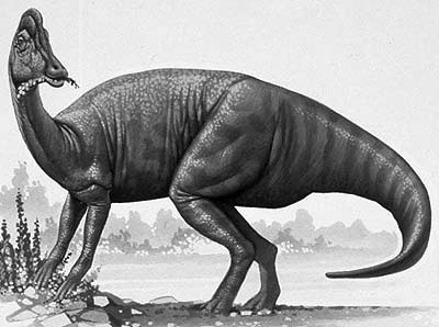 An artist's impression of Jaxartosaurus