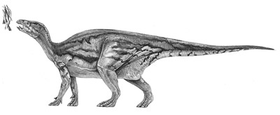 An artist's impression of Jinzhousaurus