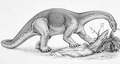 An artist's impression of Kotasaurus