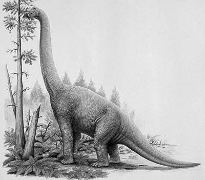 Lapparentosaurus