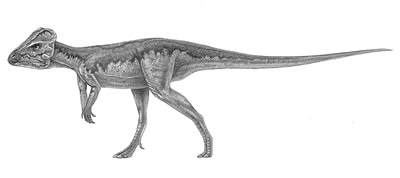 An artist's impression of Liaoceratops