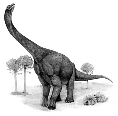 Ligabuesaurus