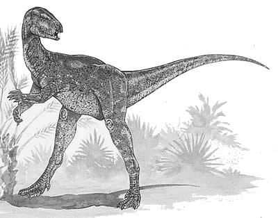 An artist's impression of Lycorhinus