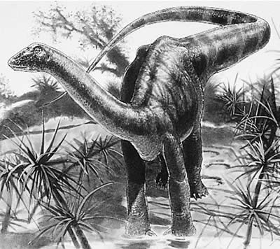 An artist's impression of Magyarosaurus