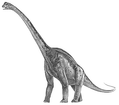 An artist's impression of Malawisaurus