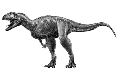 An artist's impression of Marshosaurus