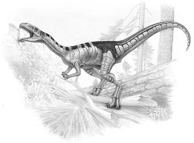 An artist's impression of Masiakasaurus