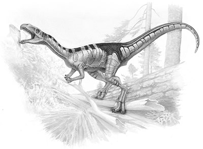 Masiakasaurus