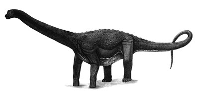 An artist's impression of Maxakalisaurus