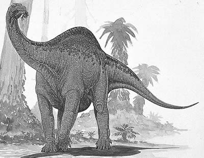 An artist's impression of Melanorosaurus