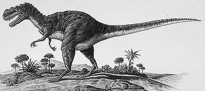 An artist's impression of Metriacanthosaurus