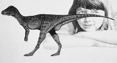 An artist's impression of Micropachycephalosaurus