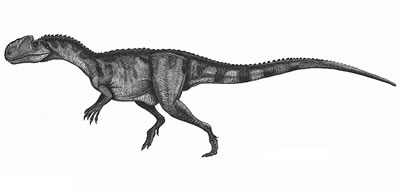 An artist's impression of Monolophosaurus