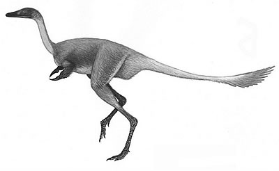 An artist's impression of Mononykus