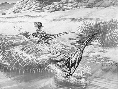 Nanotyrannus