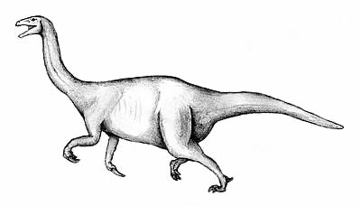 An artist's impression of Nanshiungosaurus