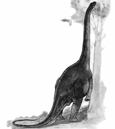 An artist's impression of Nemegtosaurus