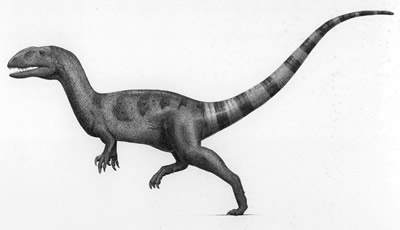 An artist's impression of Neovenator