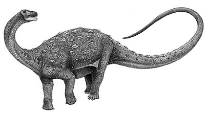 An artist's impression of Neuquensaurus