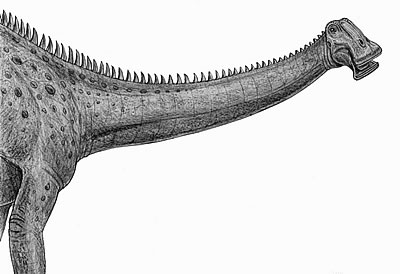 An artist's impression of Nigersaurus