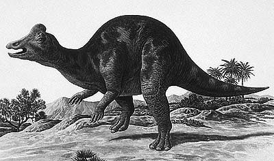 An artist's impression of Nipponosaurus