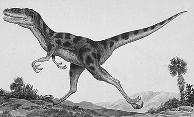 An artist's impression of Noasaurus