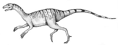 An artist's impression of Nqwebasaurus