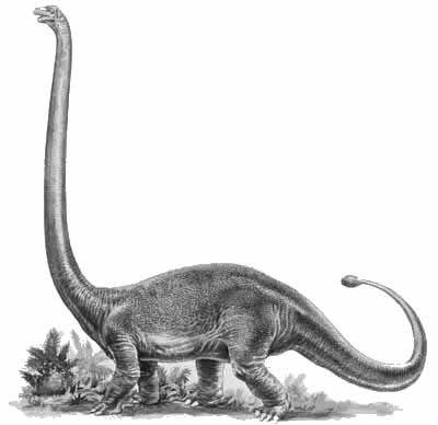 An artist's impression of Omeisaurus
