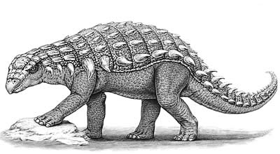 An artist's impression of Panoplosaurus