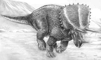 An artist's impression of Pentaceratops