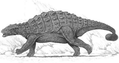 An artist's impression of Pinacosaurus