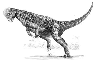 An artist's impression of Prenocephale