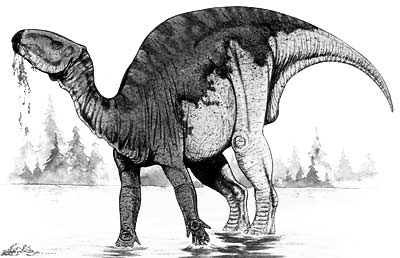 An artist's impression of Probactrosaurus