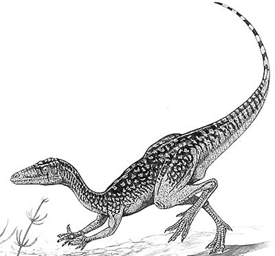 An artist's impression of Procompsognathus